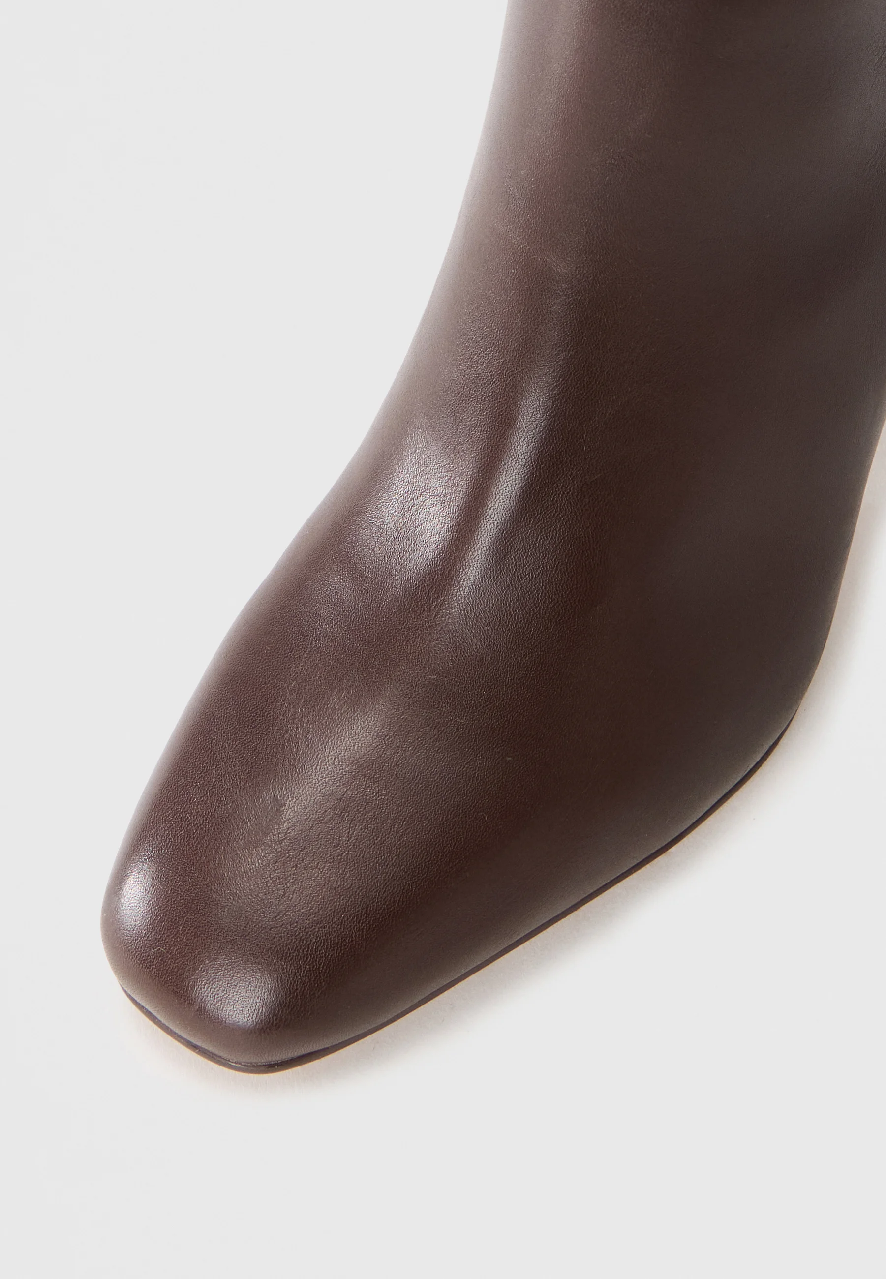Steve Madden Speedway Lange laarzen ground coffee - Afbeelding 6