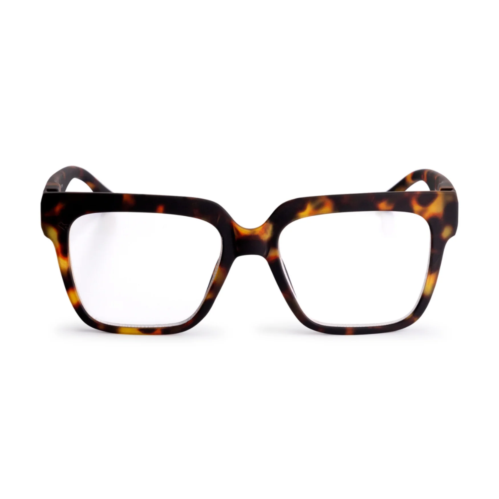 Looplabb MAX | Turtle