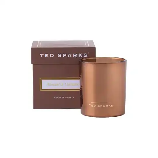 Ted Sparks Scented Candle Demi Almond & Cinnamon