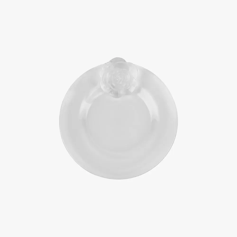 bord_roos_clear_studio Lepelclub Rose Plate